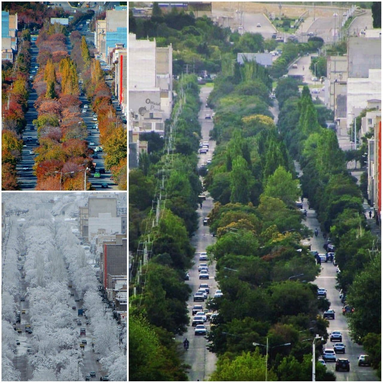 خیابانی زیبا در شهر بیجار کردستان + عکس