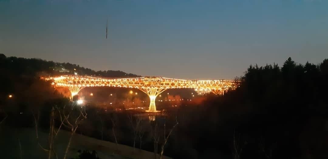 جرکت جالب پل طبیعت برای حمایت از بیماران مبتلا به سرطان + عکس