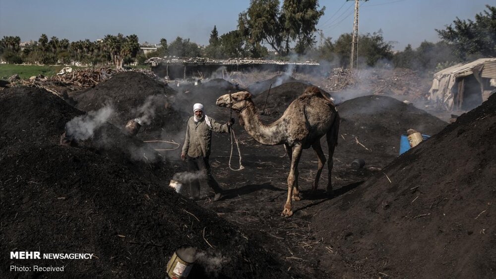 تولید زغال در غزه + عکس