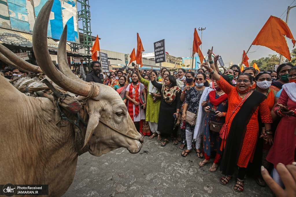 اعتراض کارگران زن هندی به افزایش قیمت سوخت + عکس