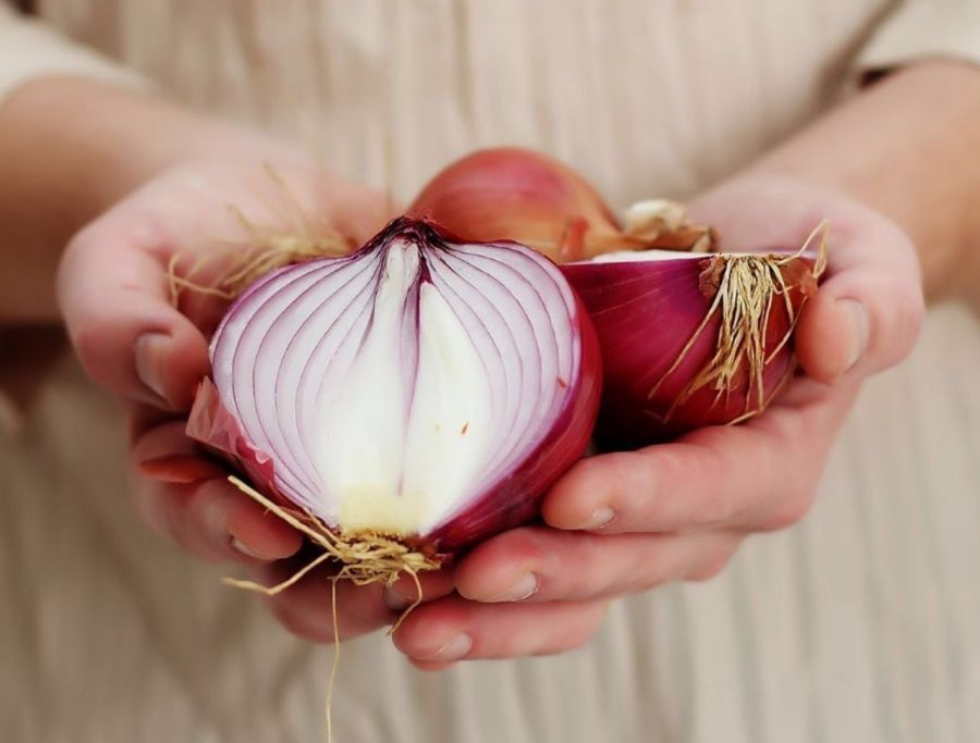 چرا خوردن پیاز مفید است؟
