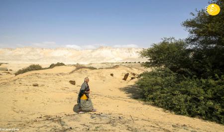 زندگی یک زن تنها در کویر مصر +عکس
