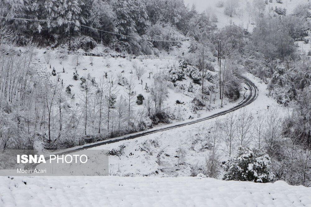 بارش برف در گیلان + عکس