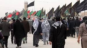 تکذیب ادعای افزایش بارداری ناخواسته در موسم اربعین