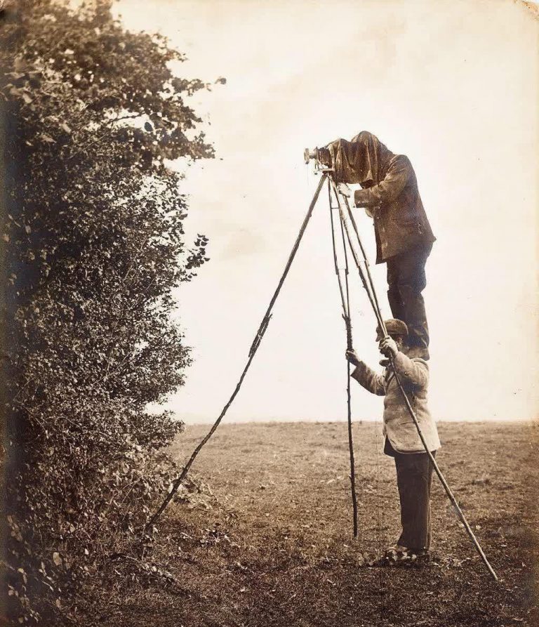  عکاسی از یک آشیانه پرنده + عکس