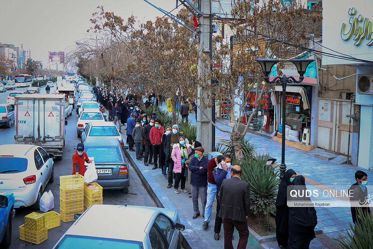 صف مرغ در روزهای کرونایی! + عکس