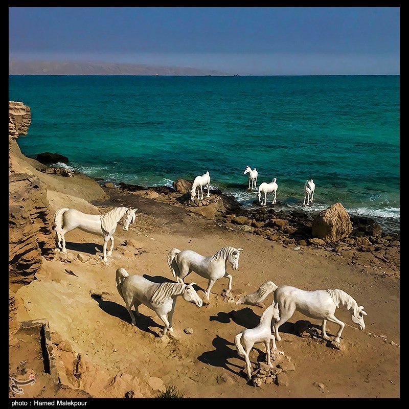 مجسمه های زیبای ساحل خلیج فارس + عکس