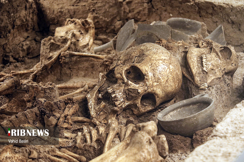 اسکلت انسان دوران باستان در موزه شهر قزوین! + عکس