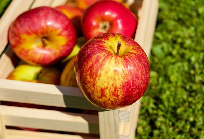 سیب و 6 روشی که می تواند به کاهش وزن کمک کند