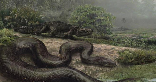 جزیره مارها در برزیل + عکس