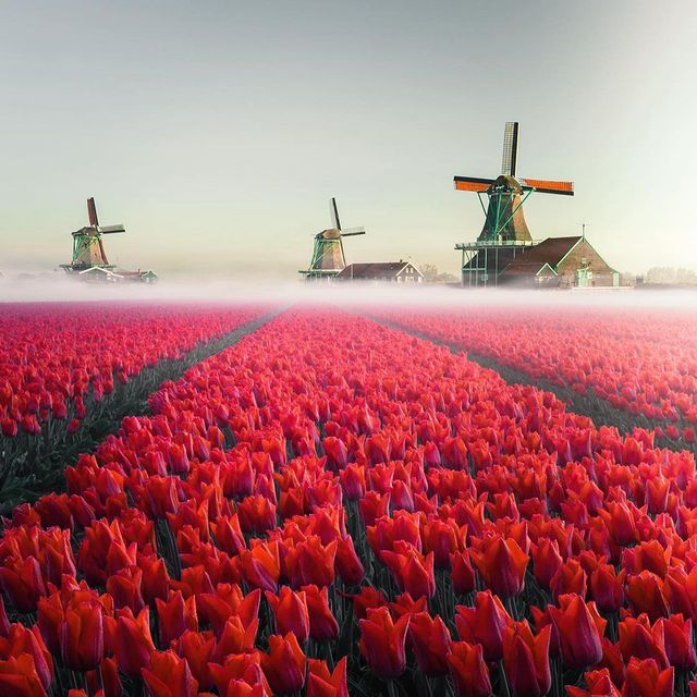 طبیعت مسحورکننده هلند + عکس