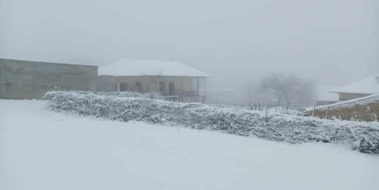یک تیر و دو نشان زدن برف در این استان+عکس