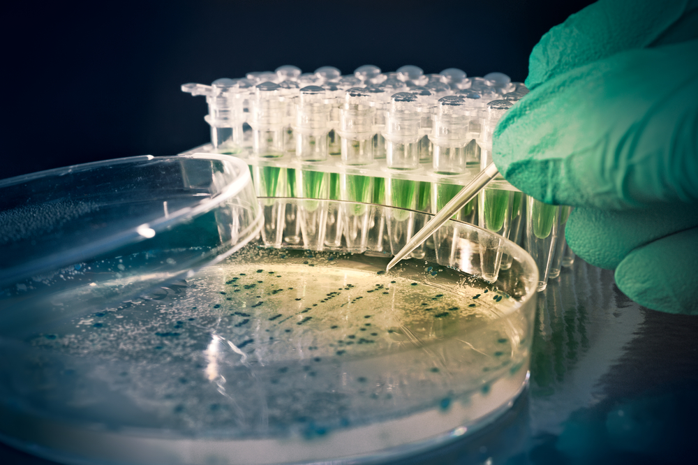 DNA ده هزار مجرم تا پایان سال استخراج می‌شود