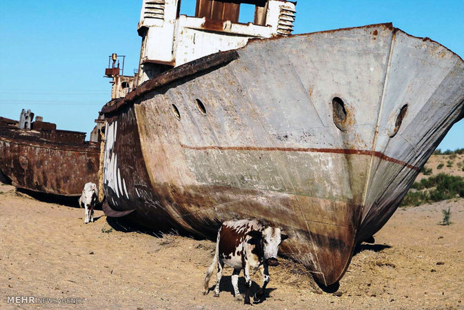 گورستان کشتی ها در وسط کویر  + عکس