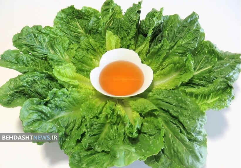 اندر فواید فوق العاده سکنجبین