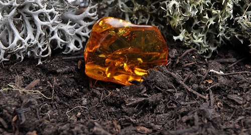 خواص فوق العاده کهربا در مبارزه با عفونت ها