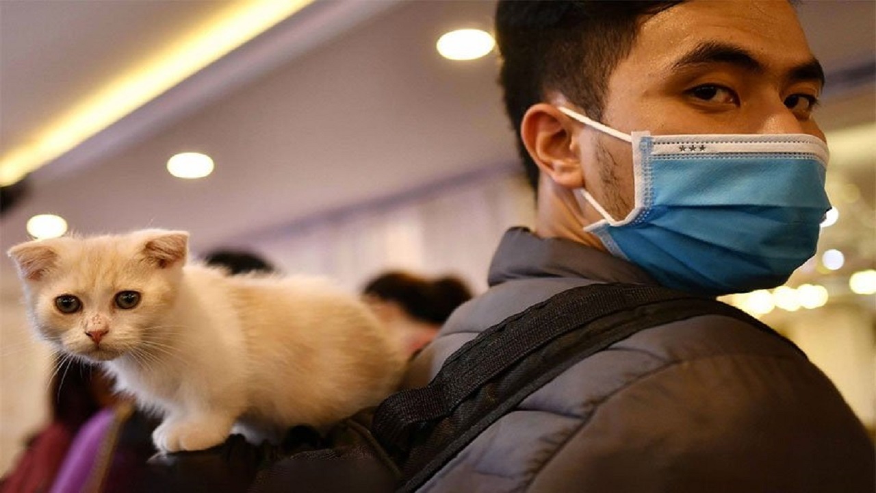  هشدار سازمان جهانی بهداشت: ارتباط با حیوانات خانگی را محدود کنید