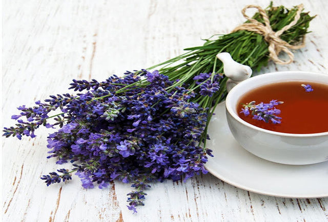 آیا واقعا اسطوخودوس مانع ابتلا به کرونا می شود ؟