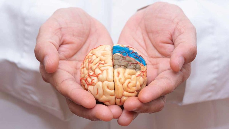 اختصاصی/ تفاوت بین مغز و ذهن چیست؟
