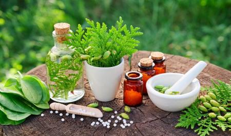  این گیاهان برای معده معجزه است