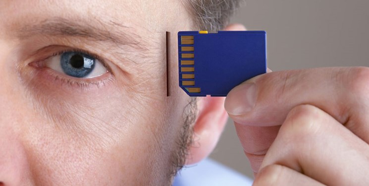 راهکار طب سنتی برای تقویت حافظه/ کدام غذاها منجر به تضعیف حافظه می‌شوند؟