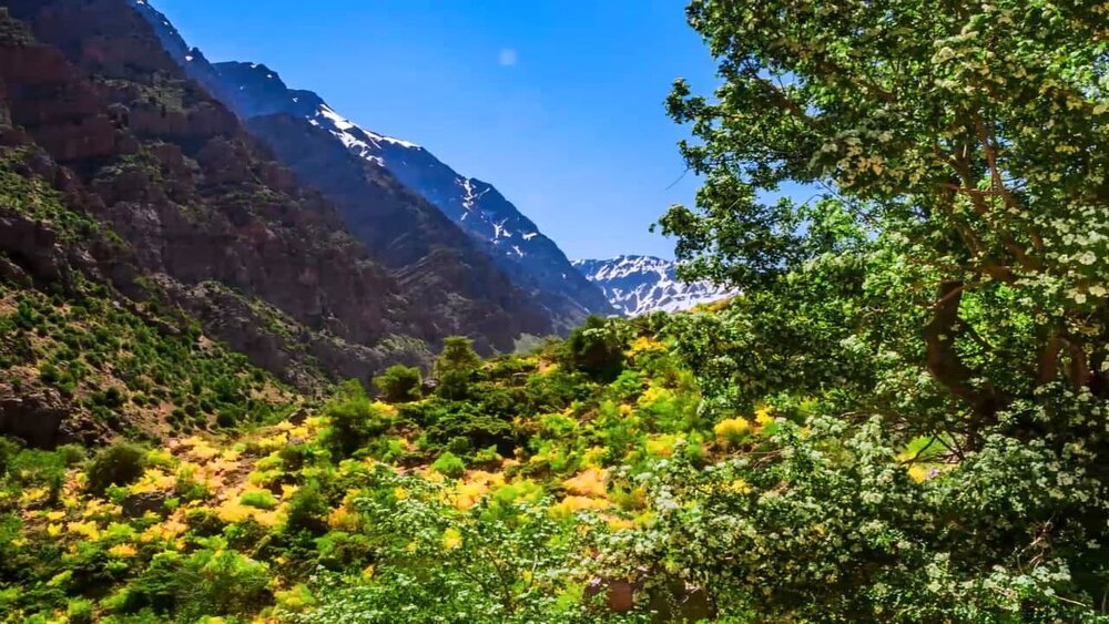  بهشتی زمینی؛ دریاچه کوه گل+ عکس