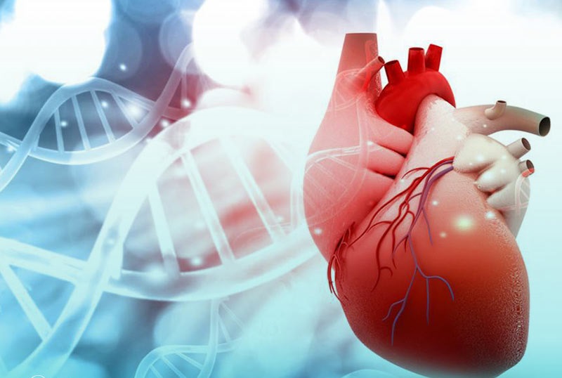 کووید ۱۹ احتمال نارسایی قلبی را افزایش می دهد