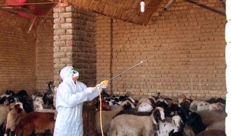 اردیبهشت و خرداد مراقب باشید؛این بیماری در کمین است