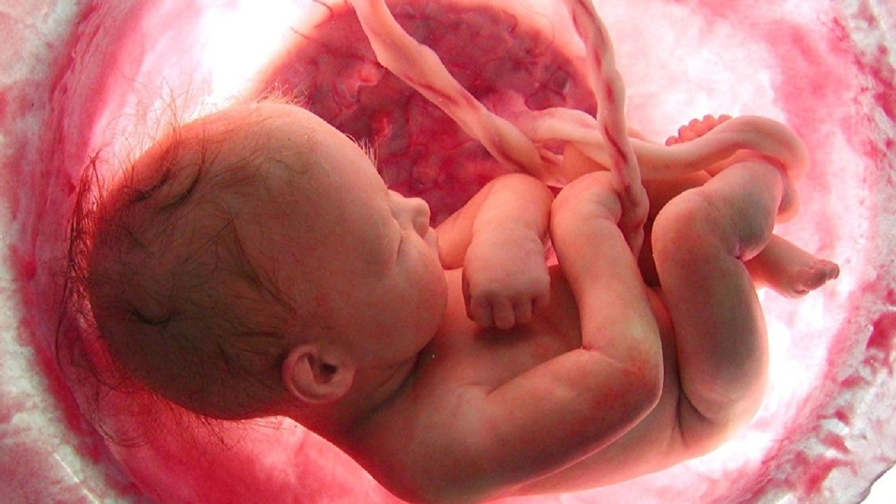  چهار نشانه علمی هنگام بارداری برای تشخیص جنسیت جنین