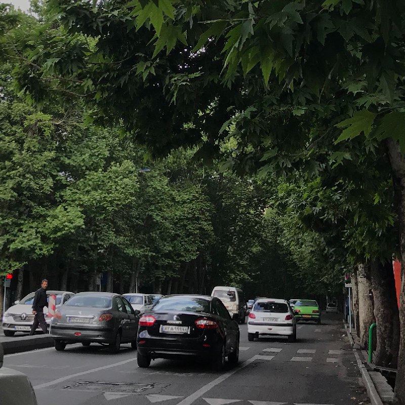 منظره زیبای یکی از خیابان های تهران + عکس