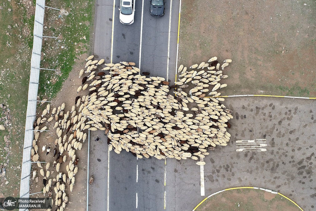 عکس هوایی از عشایر در بینگل، ترکیه + عکس