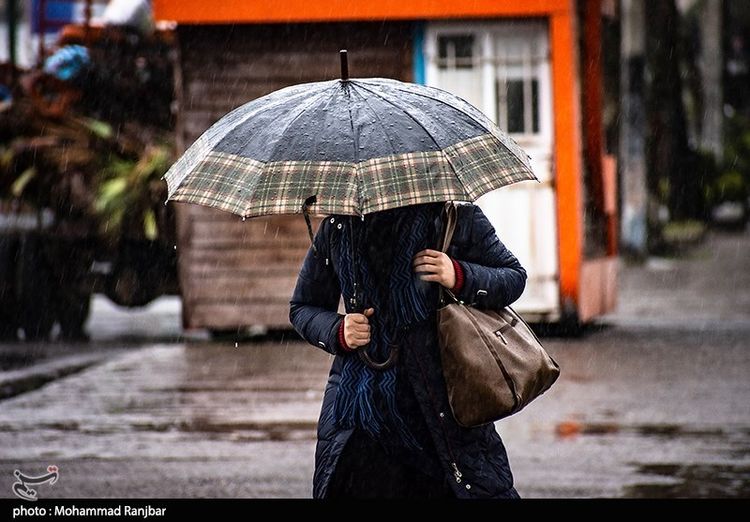 بارش باران در رشت + عکس