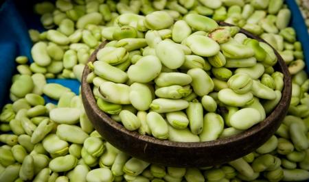 درباره فاویسم بیماری باقلا بیشتر بدانیم