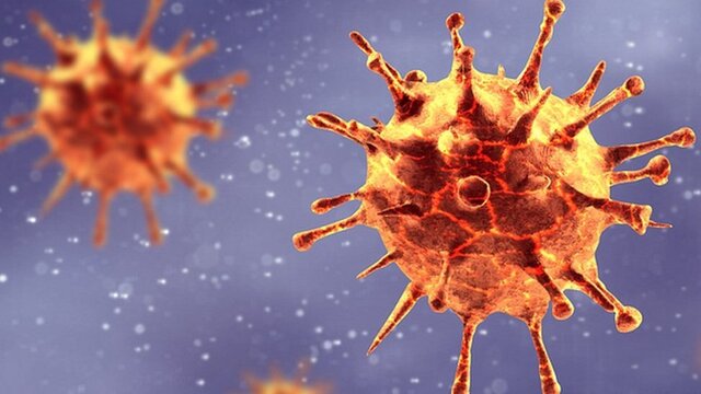  شیوه‌ای عجیب برای شناسایی ویروس کرونا در هلند