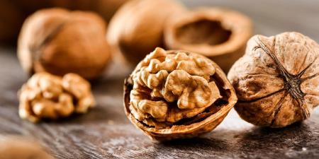 درباره خواص شگفت انگیز گردو بیشتر بدانیم