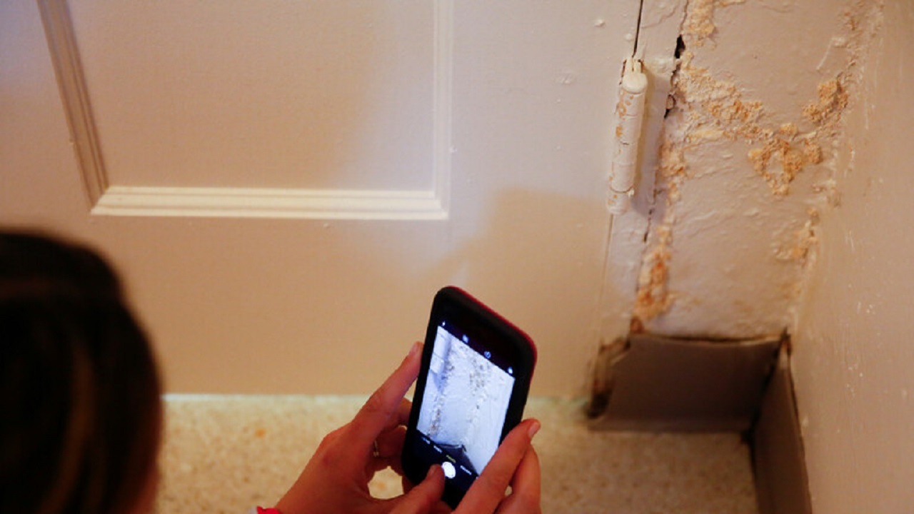  مهمانان ناخوانده روی دیوار‌های خانه که سلامت شما را نشانه می‌روند