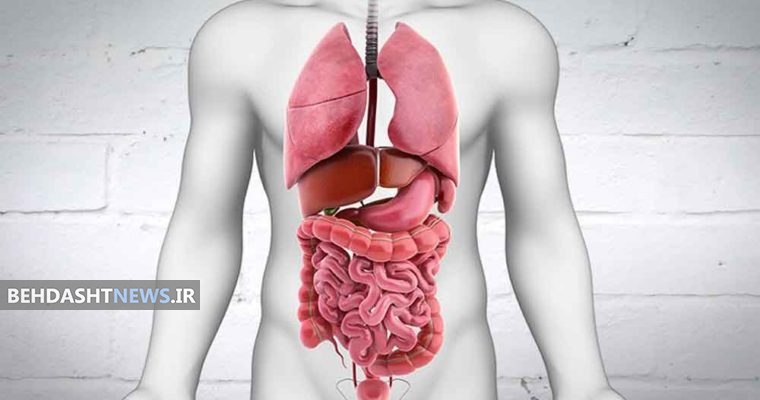 یافته های جدید برای کنترل اسید معده