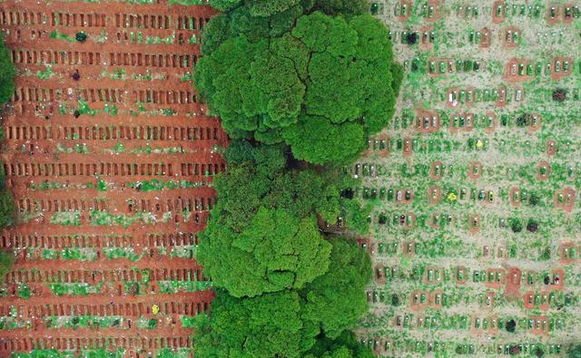 تصویر هوایی از قبرهای جدید قربانیان کرونا + عکس