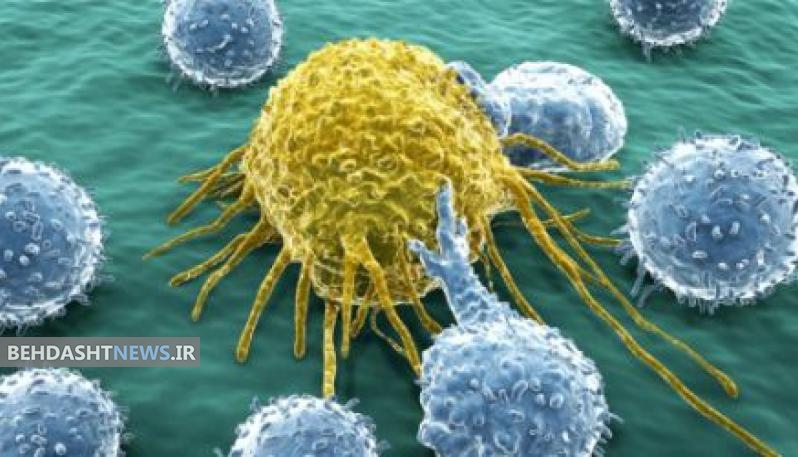 درمان سلول‌های سرطانی با کمک نانوذرات مغناطیسی