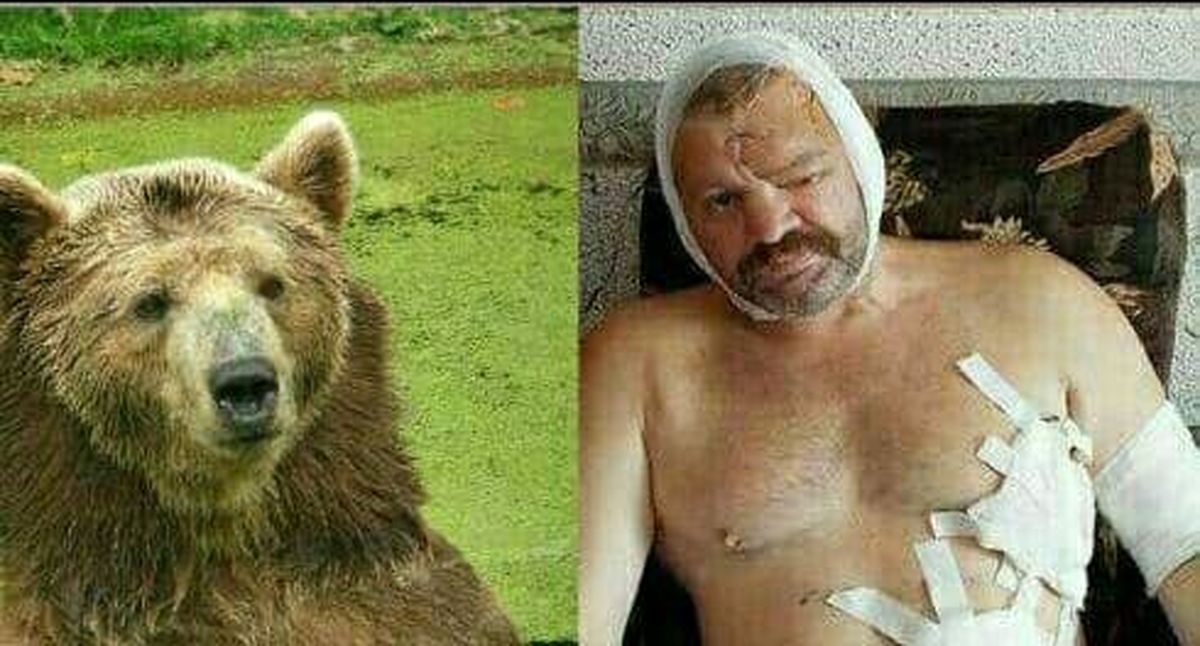 ماجرای عجیب فرار خرس از ماهیگیر ۴۲ساله روسی+عکس