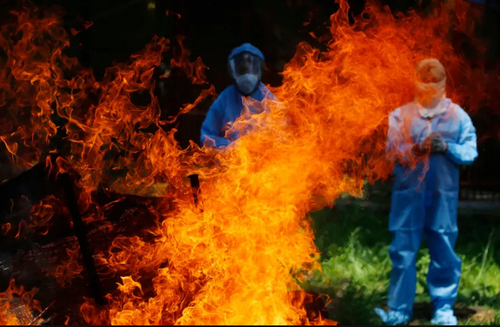 سوزاندن اجساد فوتی های کرونا در سرینگر هند + عکس