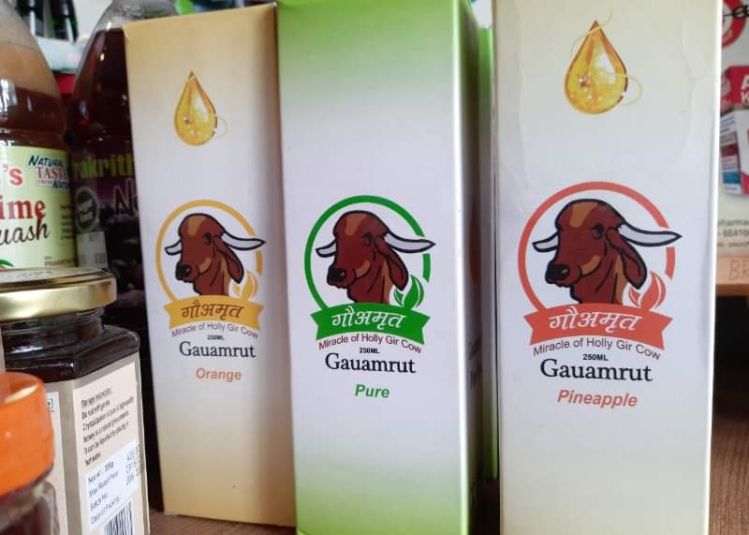 ادرار گاو باطعم مختلف برای درمان کرونا+ عکس