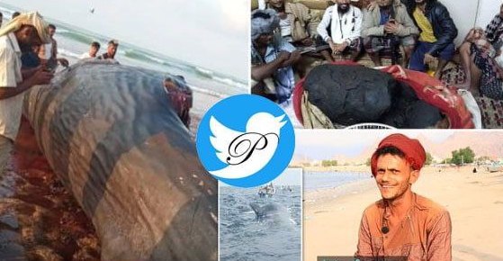 استفراغ نهنگ ماهیگیران یمنی را میلیونر کرد! + uکس