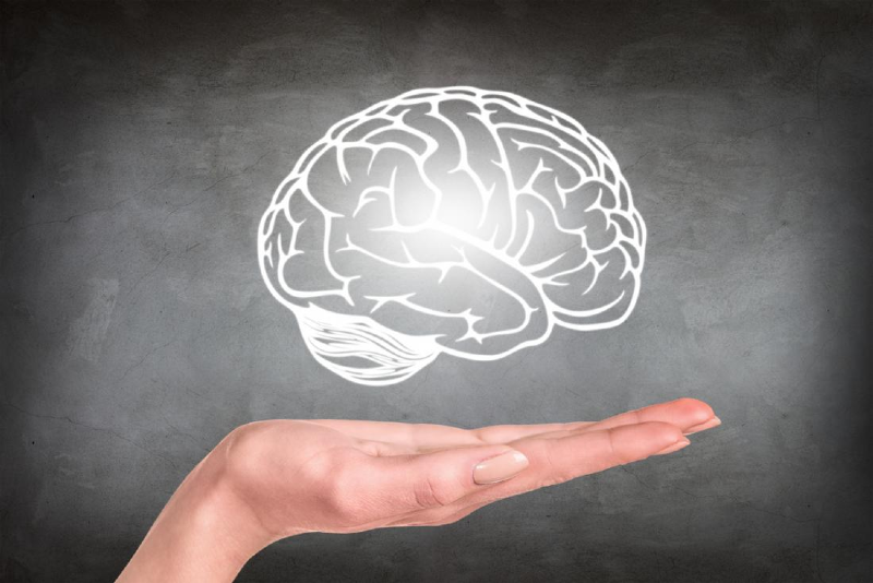 مغز چگونه می‌تواند پس از یک بیهوشی بلندمدت خودش را هوشیار کند؟