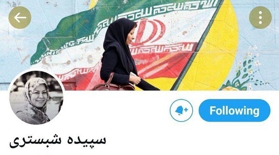 همسر عبدالناصر همتی به توئیتر پیوست + عکس