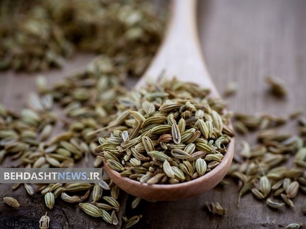 رازیانه داروی گیاهی لاغری