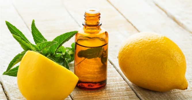  چگونه خانه‌ای خوشبو داشته باشیم؟