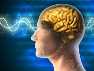  بررسی علمی عشق؛ یک فرآیند خونی و عصبی