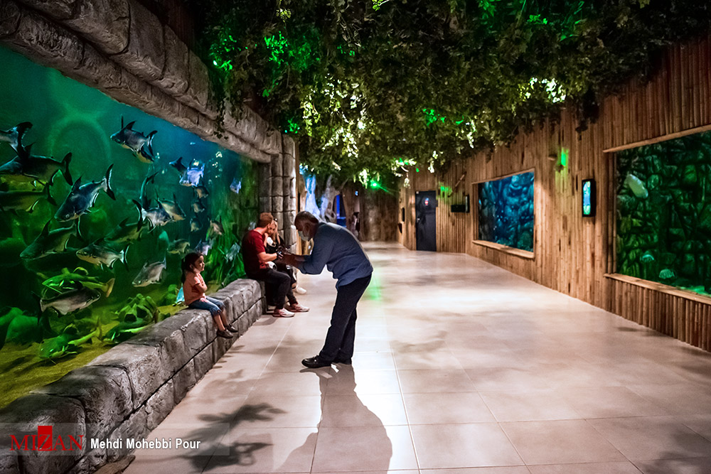 تصاویری از بزرگترین آکواریوم ایران + عکس