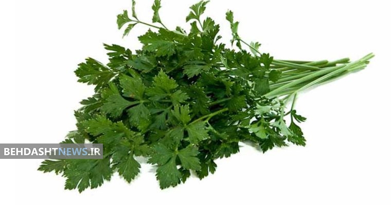 خواص درمان سبزی جعفری و جوشانده آن